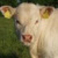 Profile Picture of Clodagh Ryan (@clodagh-ryan) on Quora