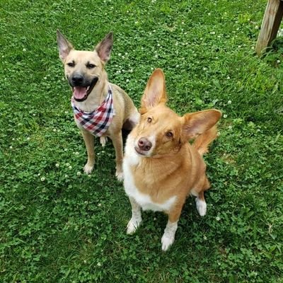 Profile Picture of Calvin (@Calvin_Hall01) on Twitter