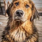 Profile Picture of Laurie Perrin Hallowes (@laurie.perrinhallowes) on Facebook