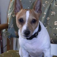 Profile Picture of Karen Apessos (@karen-apessos) on Quora