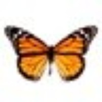 Profile Picture of Erin Spring (@erin-spring) on Quora