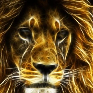 Profile Picture of Jorge Hinojos (@jorge.hinojos.902) on Facebook