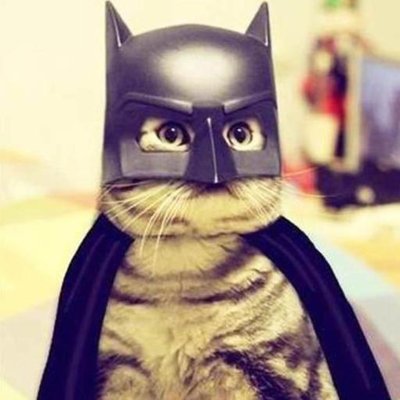 Profile Picture of Steve Averill (@27hulk) on Twitter