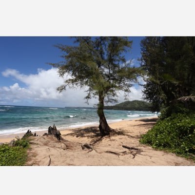 Profile Picture of Joe_campione (@joecampione1) on Twitter