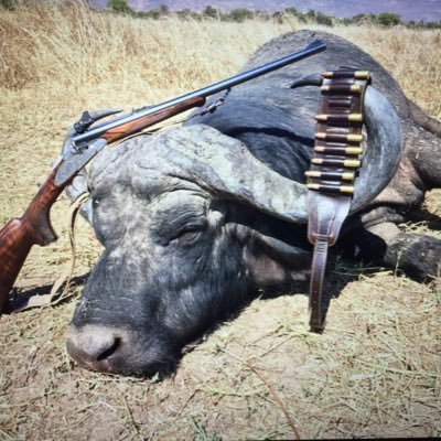 Profile Picture of Peter Creighton Safaris (@PeterCreighton6) on Twitter