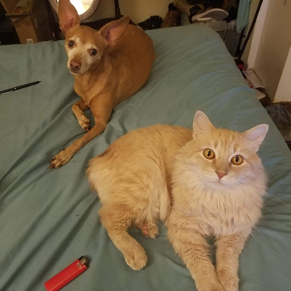 Profile Picture of Stephanie Albers (@salbers1369) on Poshmark