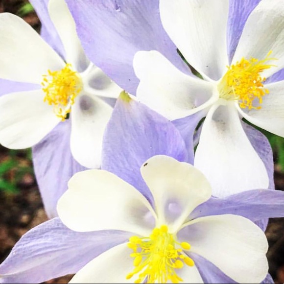 Profile Picture of Torrie Kolbeck (@teenytiny69) on Poshmark