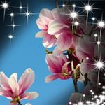 Profile Picture of DarcieWright (@wrightdarcie7) on Instagram