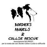 Profile Photo of Border’s Angels &Collie Rescue (@bordersangelscollierescue) on Instagram