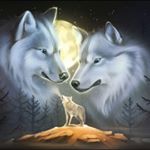 Profile Picture of allanfogelquist (@allanfogelquist6348) on Instagram