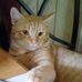Profile Picture of Lisa Teachout (@lisa.teachout.16) on Facebook