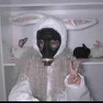 Profile Picture of помераю от еды. (@mokikuchan.hudeet) on Instagram