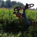 Profile Picture of Thomas Sommervogel (@sommervogel) on Pinterest