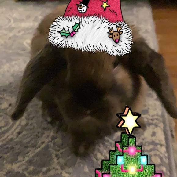 Profile Picture of Christina Lathan (@pnkleopard12) on Poshmark