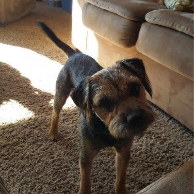 Profile Picture of Mary Lou Conway (@MaryLouConway12) on Twitter