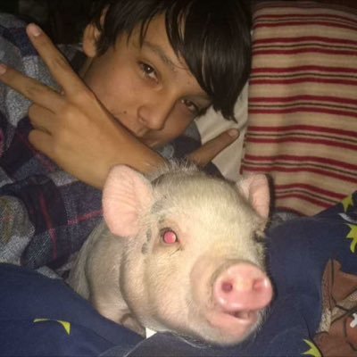 Profile Picture of Andrew Wager (@andrew_wager2) on Twitter