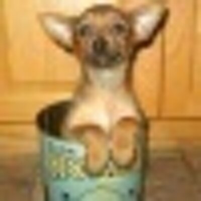 Profile Picture of Chad Pagel (@chad307) on Twitter