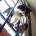 Profile Picture of Esperanza Vera (@esperanza.vera.507) on Facebook