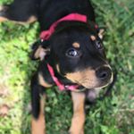 Profile Picture of Herbert Blanchard (@herbphotography26) on Instagram