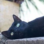 Profile Picture of Jodie (@jodie_bowers) on Instagram