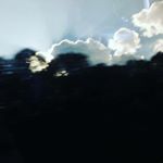 Profile Picture of vincent (@vincent_parrott) on Instagram