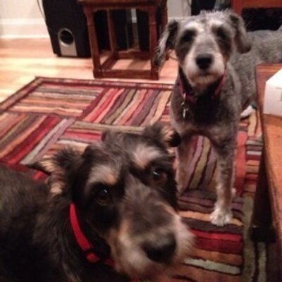 Profile Picture of Gerald Mcgee (@McgeeGeraldim) on Twitter