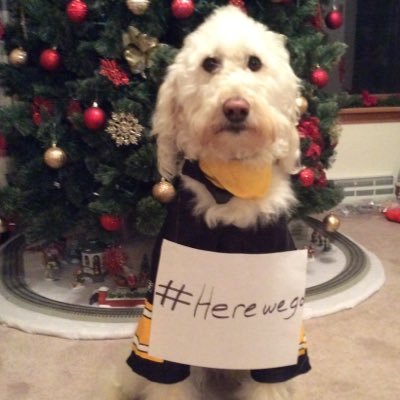 Profile Picture of Brian Himes (@b_himes4) on Twitter