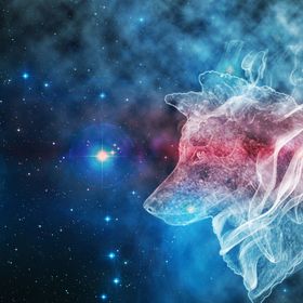 Profile Picture of felix leyba (@16leybfeli) on Pinterest