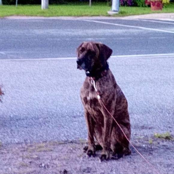 Profile Picture of Bobbie Tait (@bobbietait) on Poshmark