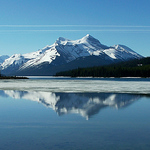 Profile Picture of Marjea (@marjea) on Flickr