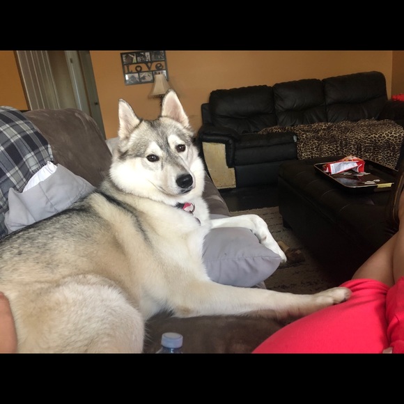 Profile Picture of Kelcey Spratt (@kelceyspratt22) on Poshmark