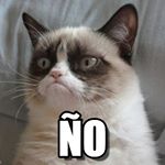 Profile Picture of Rafael Elias Esqueda Polanco (@saurusxd) on Instagram