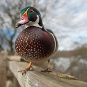 Profile Picture of Alexander Barrett (@alexanderbarrett4527) on Youtube