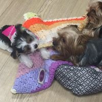 Profile Picture of Barb Conrad (@barb-conrad-3) on Quora