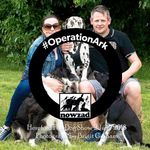 Profile Picture of Paul Kent (@strangefur) on Instagram