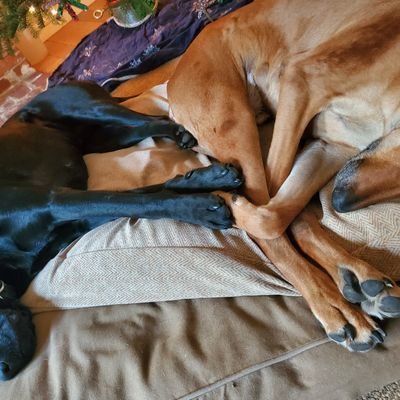 Profile Picture of Scott Halbrook (@scott_halbrook) on Twitter