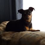 Profile Picture of Orpha Jean Bowen (@orphajean.bowen) on Facebook