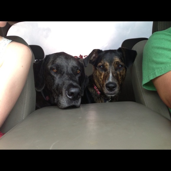 Profile Picture of Chrissy Banner (@chrissybanner) on Poshmark