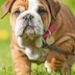 Profile Picture of James Uden (@jamesu0940) on Pinterest