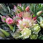 Profile Picture of Lee Thorne Gooding (@lee.t.gooding) on Instagram