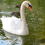 Profile Picture of Juan Rafael Rivera Boada (@juan rivera 2018) on Flickr