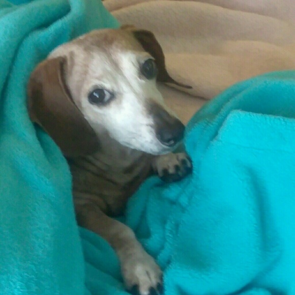 Profile Picture of Ron Arnold (@ronster2018) on Poshmark