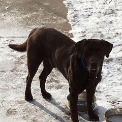 Profile Picture of jeffspotanski   (@jeffspotanski) on Tiktok