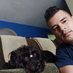 Profile Picture of Ronald Trejos (@timontrejos) on Instagram