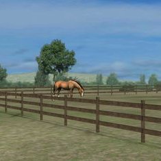 Profile Picture of Lilia Mccann (@Crystal2460) on Twitter