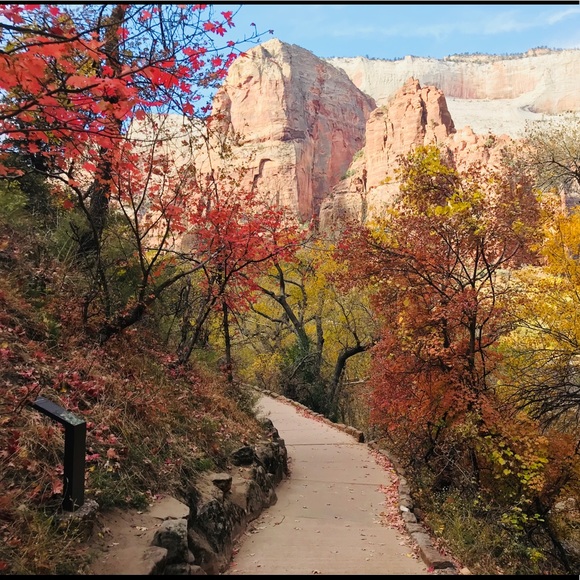 Profile Picture of Daniela Vasileva (@divabg2006) on Poshmark