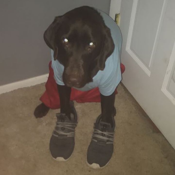 Colten Carter - Tiktok Profile Picture of Colten Carter (@viagraatcvs2) on Tiktok