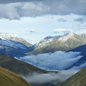 Profile Picture of Carol Chase (@carolchase8076) on Youtube