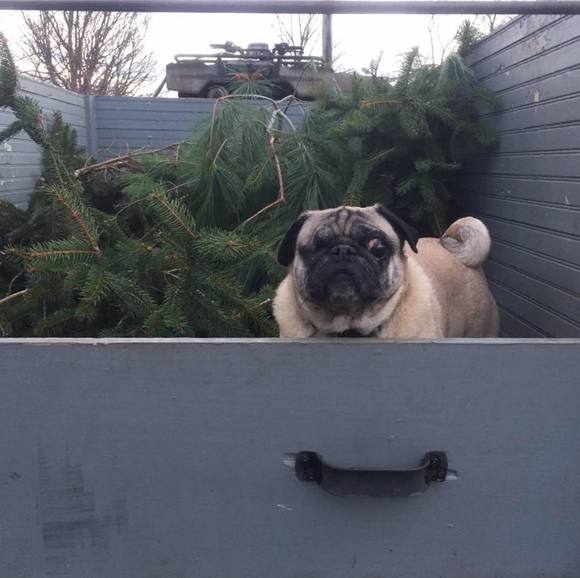 Profile Picture of Quint Quiram (@quiram4) on Poshmark