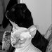 Profile Picture of Scott Steves (@Scott-Steves) on Facebook